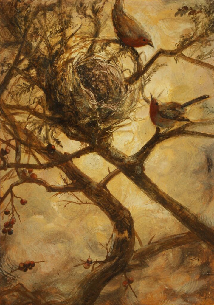 Robins nest