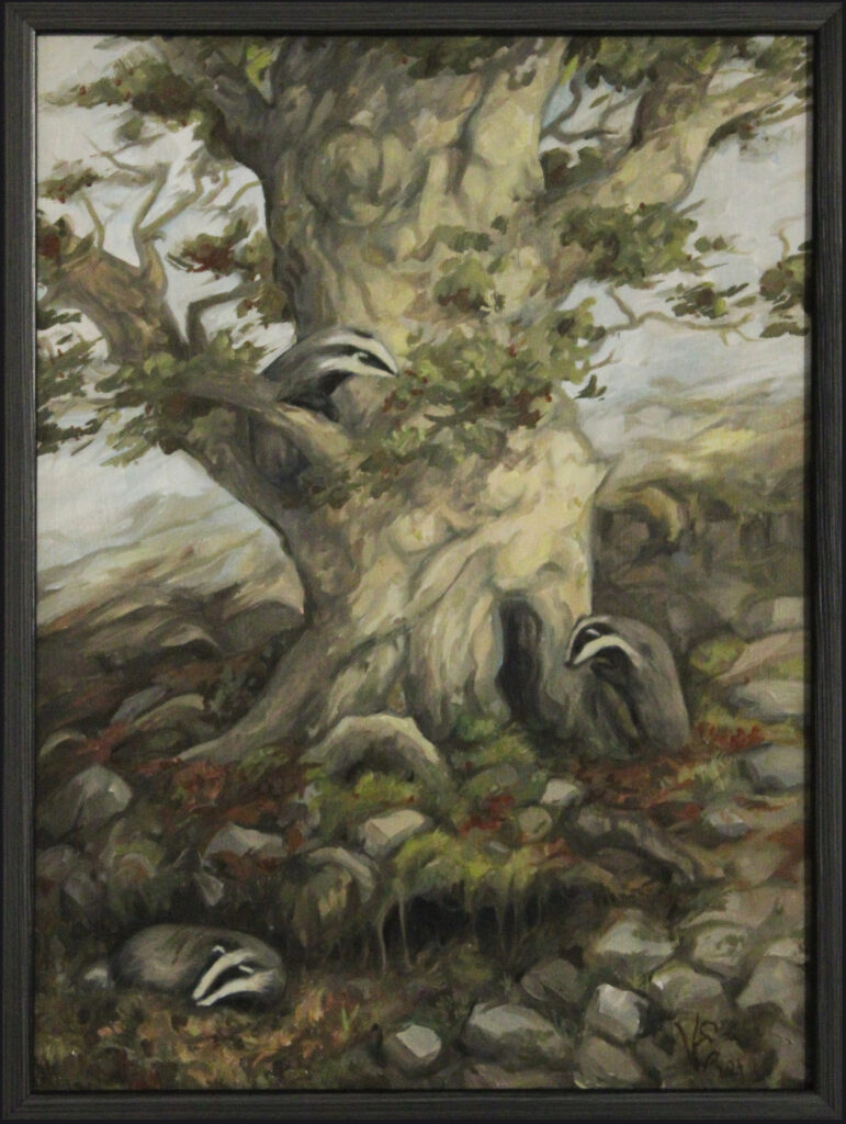 Badgers around the oak