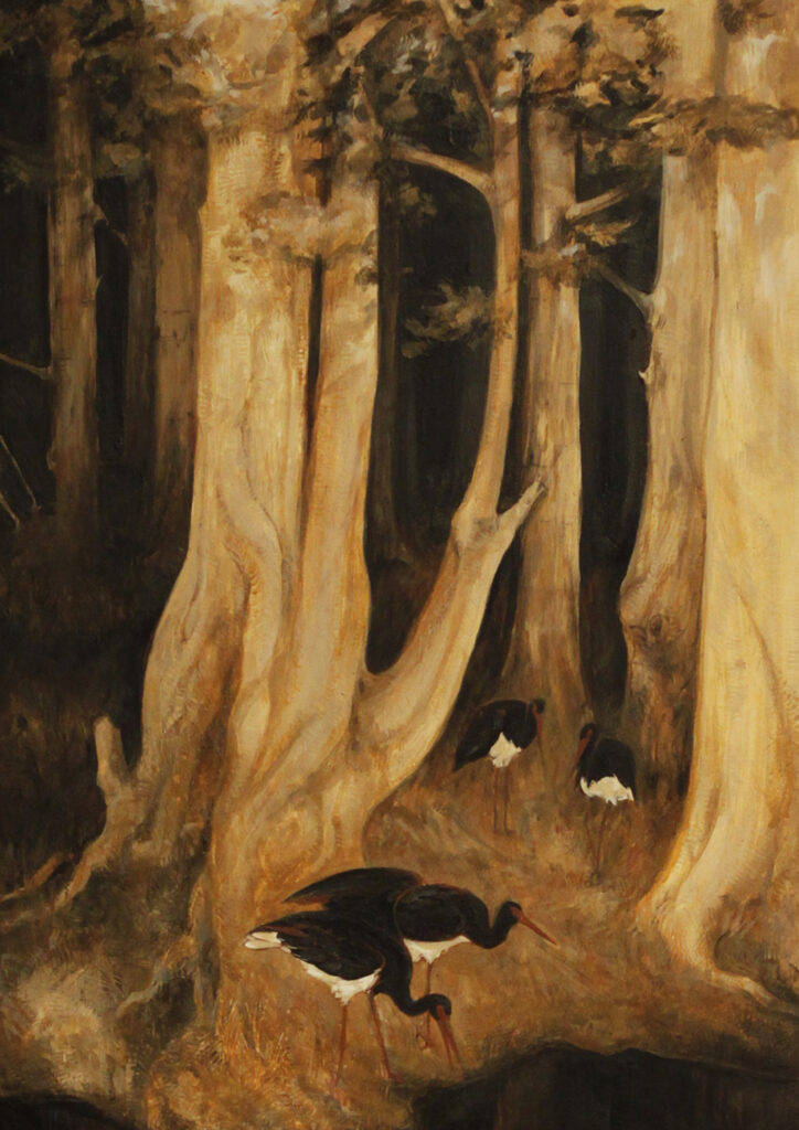 Black storks