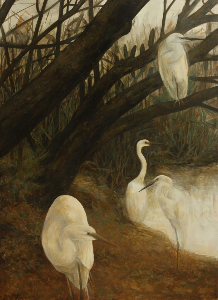 Great egrets